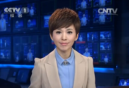 央视主持人欧阳夏丹婚姻状况,央视名嘴欧阳夏丹近来工作情况