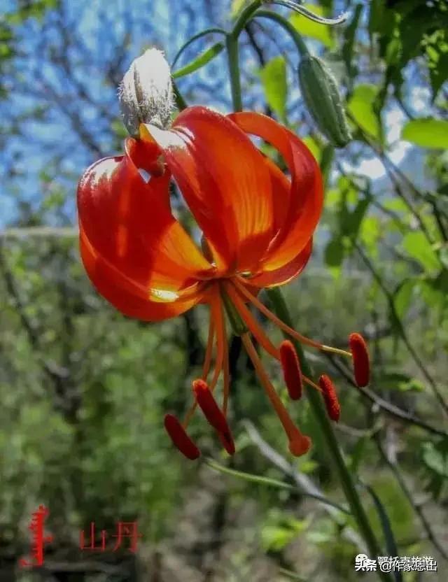 鄂托克草原,走进草原第一季第六集