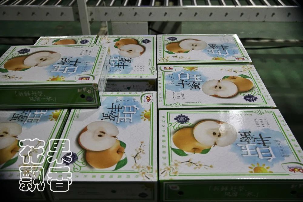 一位企业家的成功之路,企业家要有仰望星空的格局与胸襟