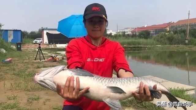 水中氧气含量与水深关系,水中氧气不足怎么钓鱼钓深钓浅