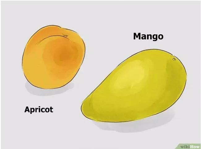 深度解析:如何在没有对象情况下练习接吻？