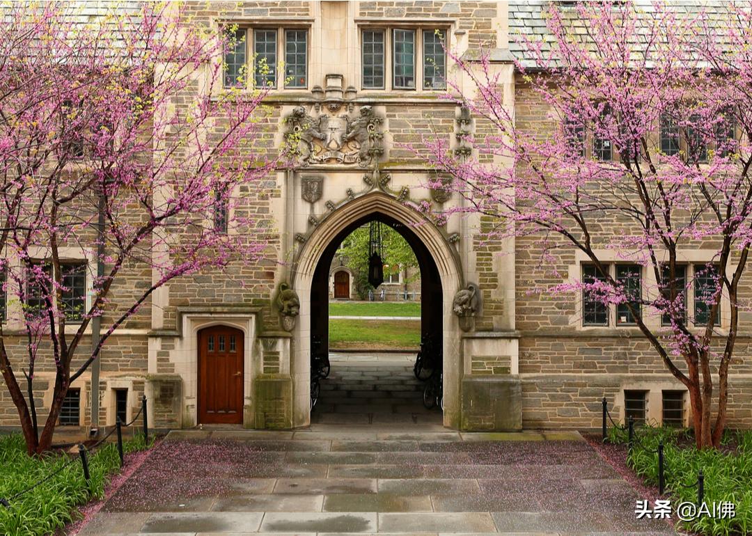 美国100所最好的大学,美国大学排名前100完整版