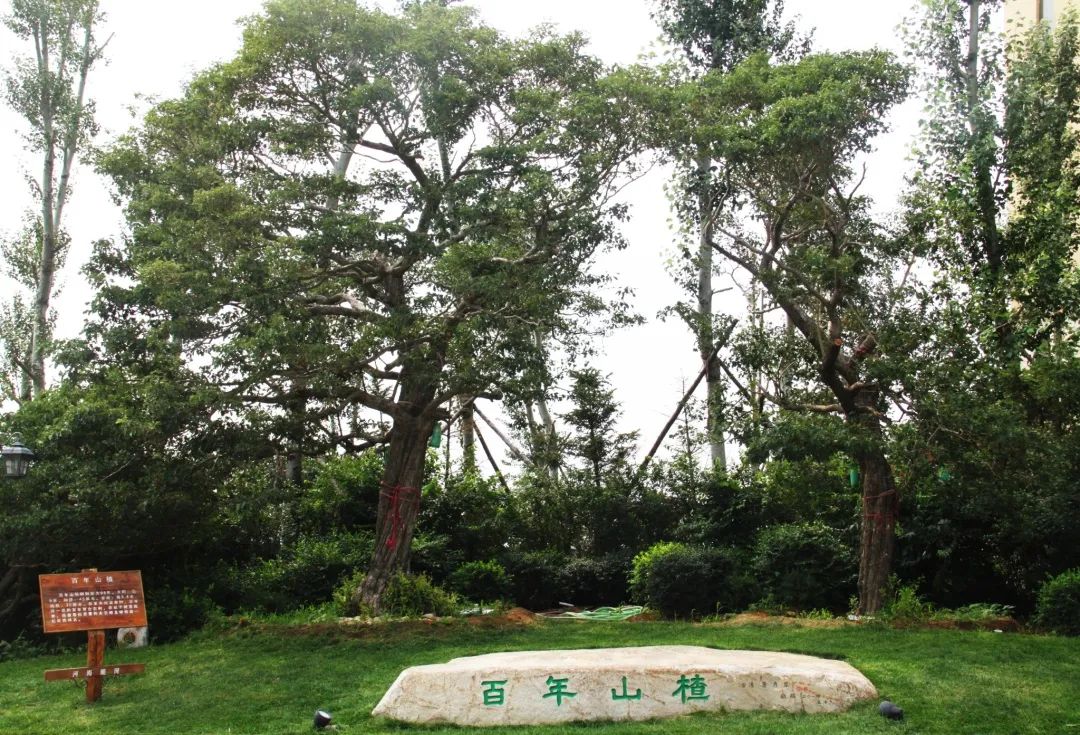 鲅鱼圈温泉海,鲅鱼圈室外温泉推荐的30个温泉