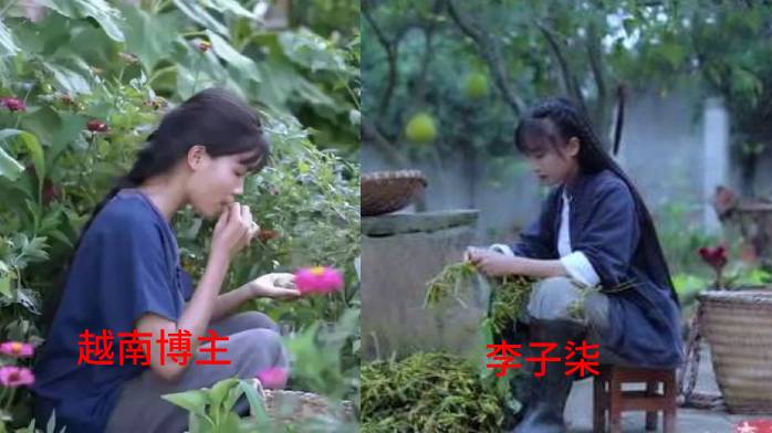 妯′豢鏉庡瓙鏌掍镜鏉冨悧,灞卞鏉庡瓙鏌掍镜鏉冨悧