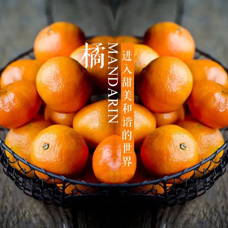 安神舒缓精油怎么调配,各种精油的调配方法和功效