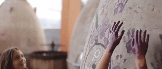 一瓶真正的自然酒的诞生丨Zorzal酒庄专访