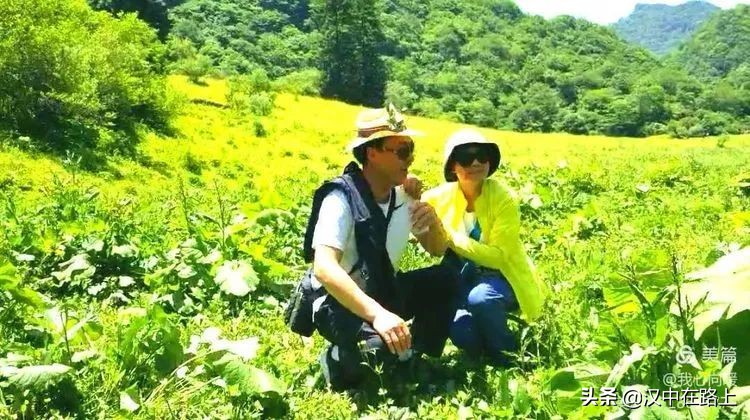 汉中圈子崖天坑,汉中镇巴圈子崖天坑旅游攻略