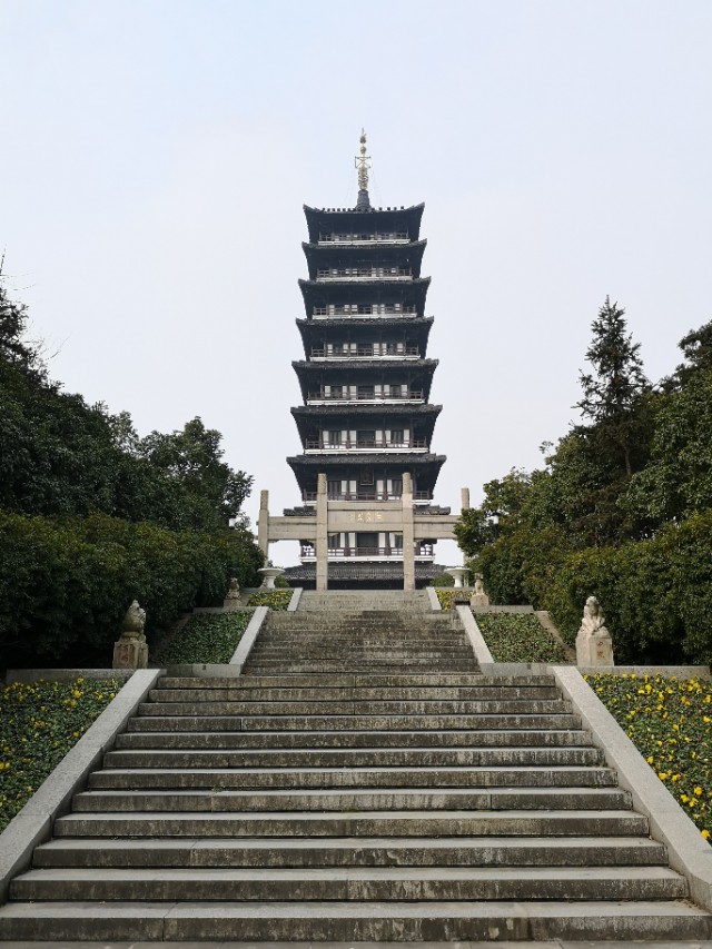 宜兴竹海游和龙背山森林公园游记