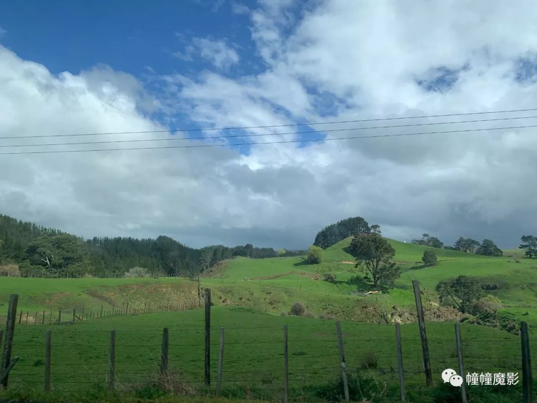 新西兰见闻录100,新西兰生活见闻