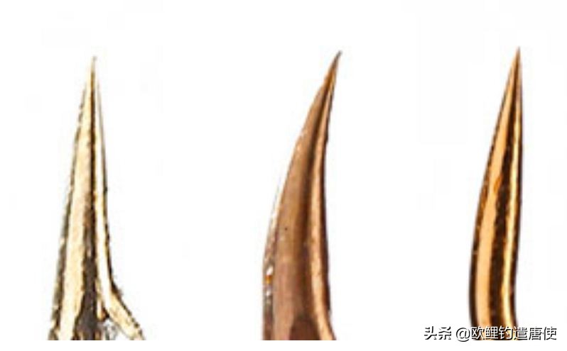 钓鱼也是一种技术,科学钓鱼的基本原理