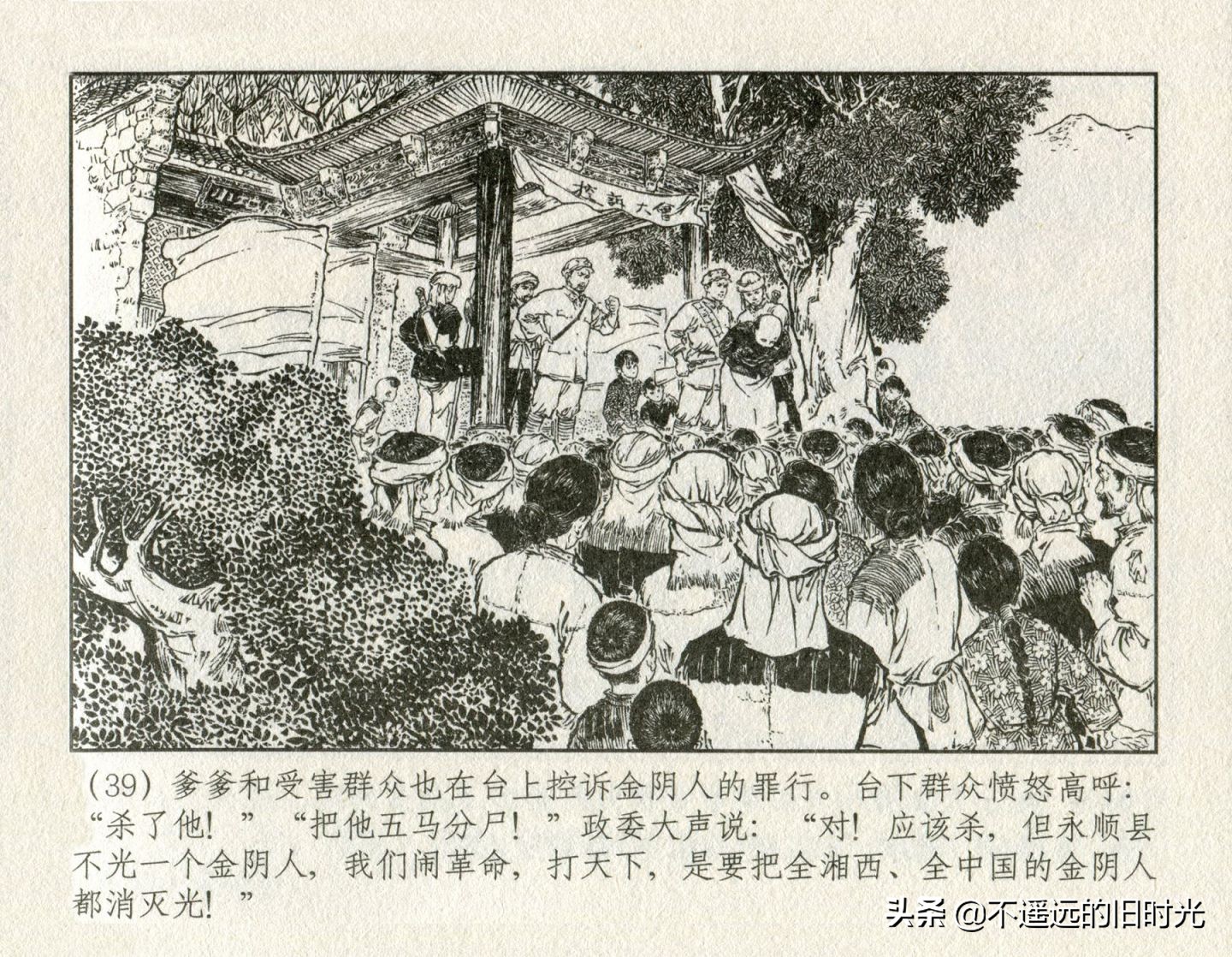 朝阳花-上海人民美术出版社1981初版2016再版陆成法陆小弟绘