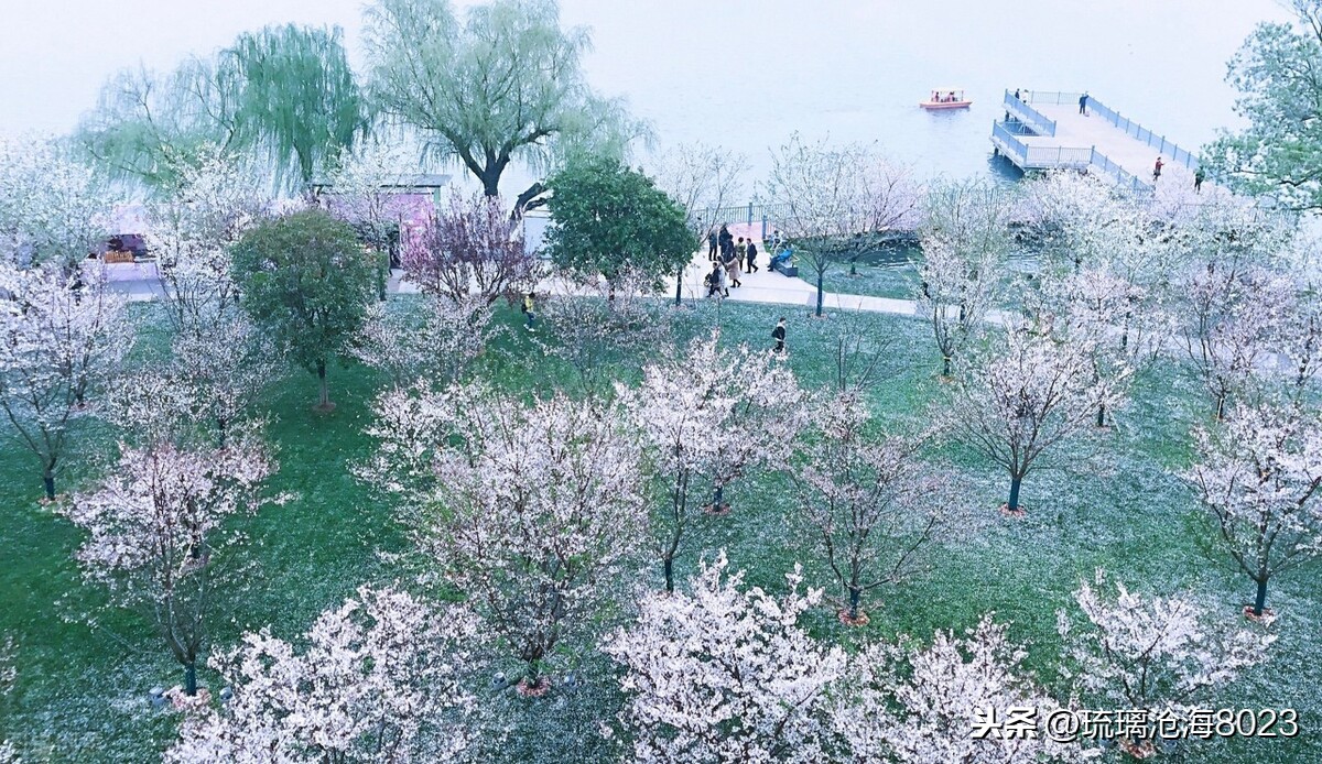 中国军事禁地风景区,玄武湖是中国最大的皇家园林湖