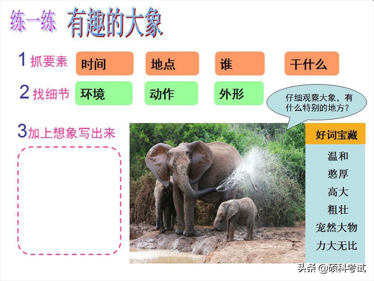 一二年级语文看图写话专项练习:20个详细教程+练习范文,可*载下**