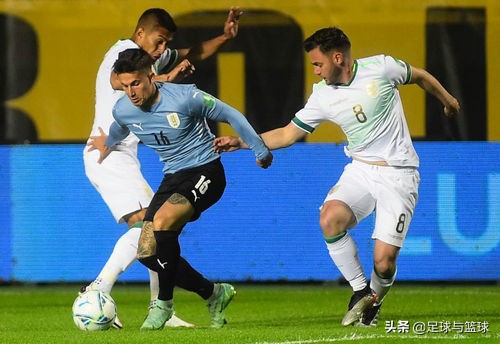 世界杯预选赛阿根廷对玻利维亚,世预赛阿根廷vs玻利维亚开场