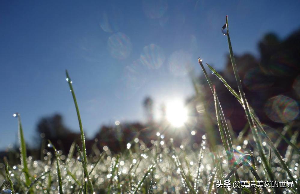 对方有老婆却逼自己下嫁,才女写了首霸气的拒绝诗,流传2000多年