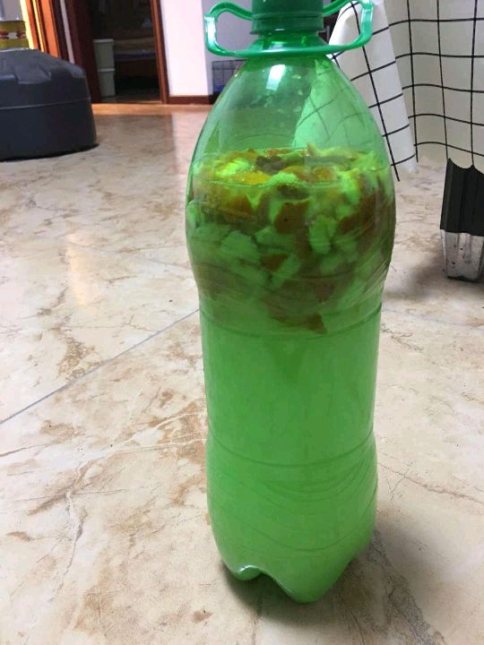 发酵的淘米水臭了可以种菜吗,淘米水发酵后臭的能用吗