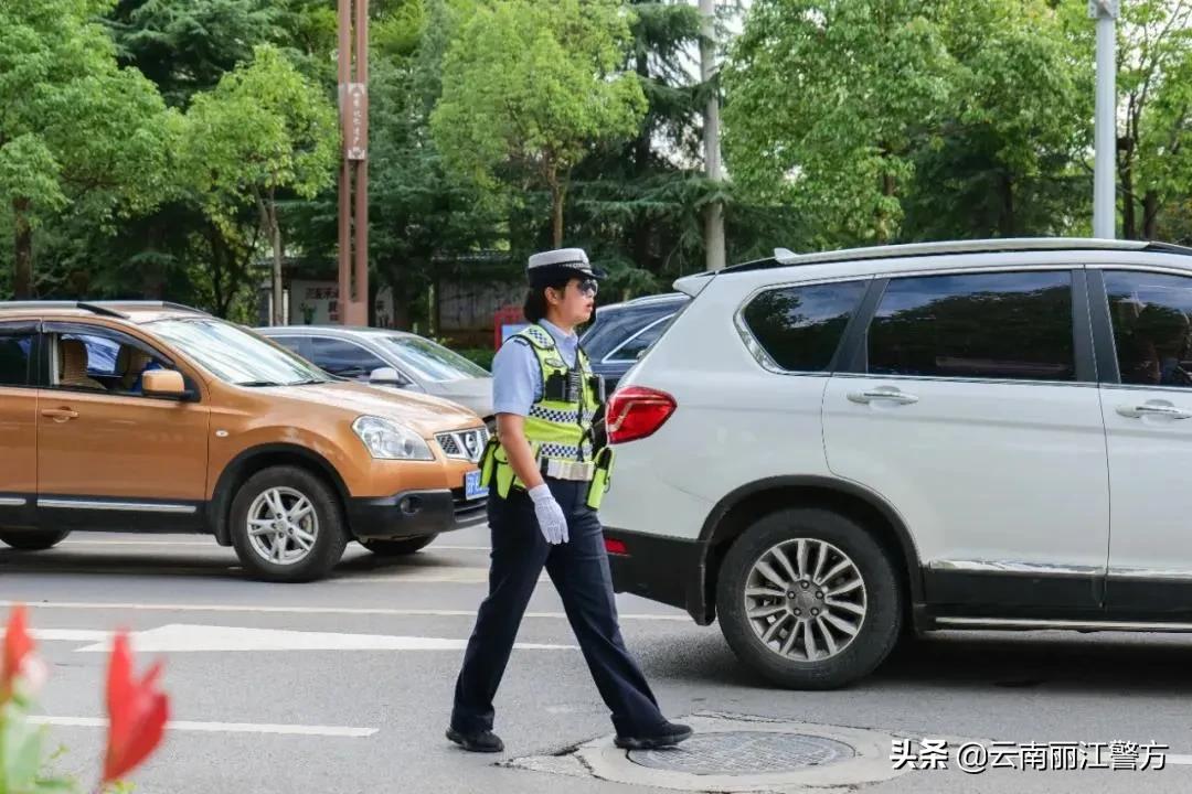 学先进树典型丨杨婧：植根马路的交警“女汉子”