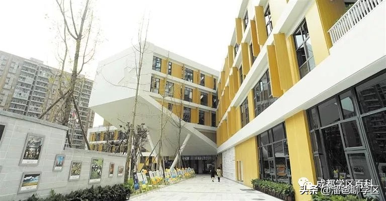 大源片区小学排名,高新区大源片区学校排名