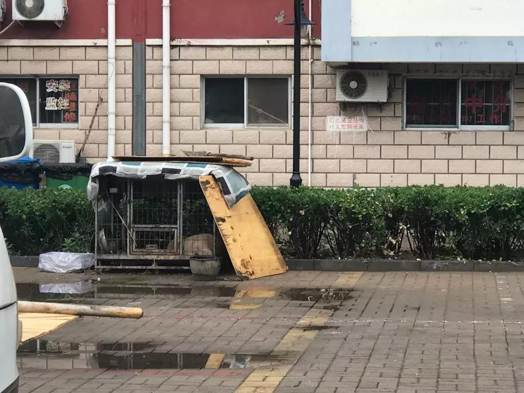 新划进光明中学的这个老小区，位置真好！还不贵