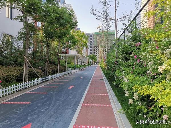 《名校风采》郑州市五十四中学:弦歌不辍五十载,上下求索奏华章