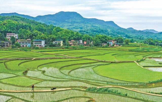 我的家乡重庆简介,我的老家重庆梁平