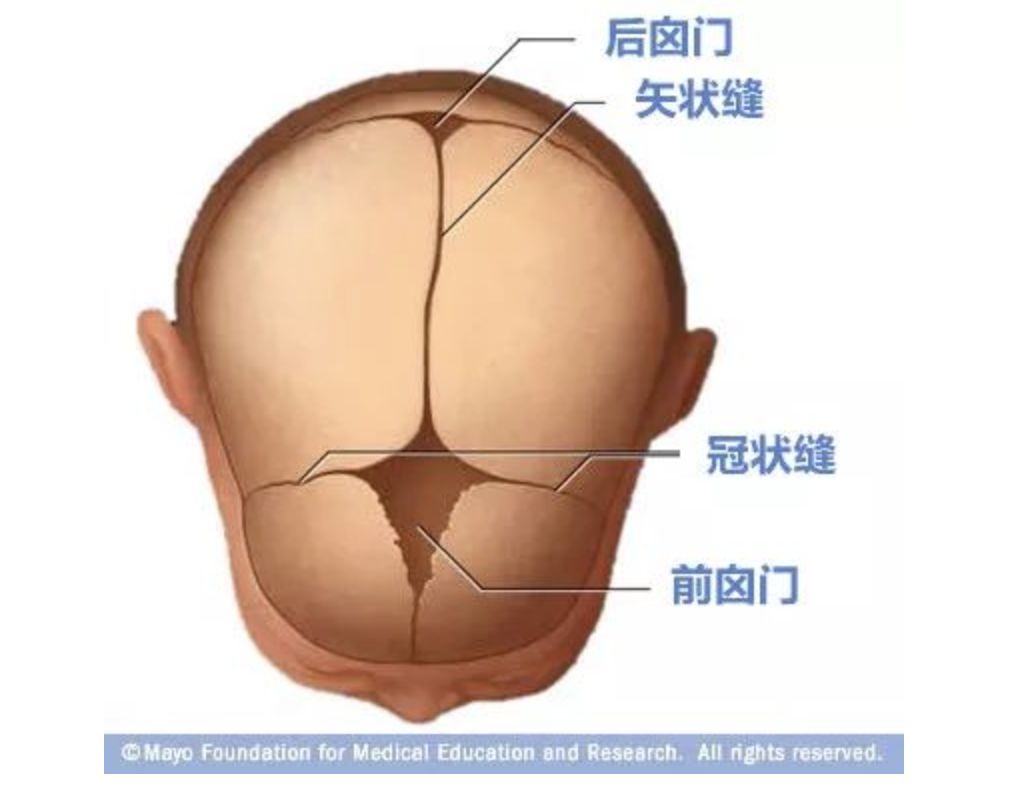 宝宝囟门摸着有点凹正常吗,宝宝囟门是软的但是不跳正常吗