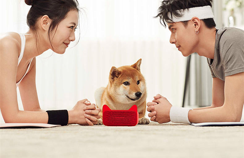 天猫精灵方糖为什么听音乐需要vip,天猫精灵方糖的音质好吗