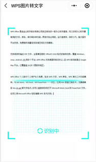 图片中取文字，还靠手敲?你out了，我们都用WPS一键取字