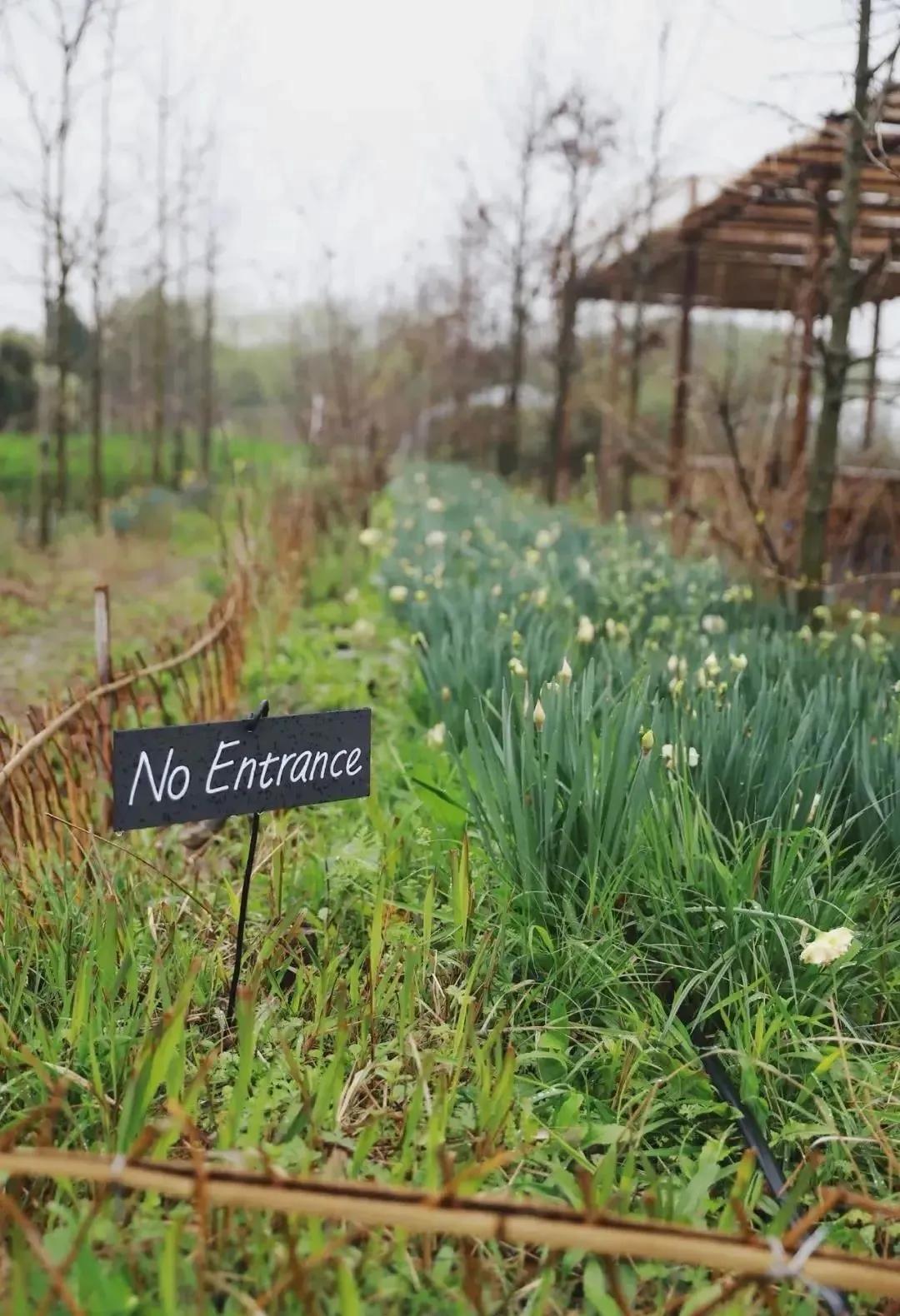 最会说情话的人全集,最会说情话的人