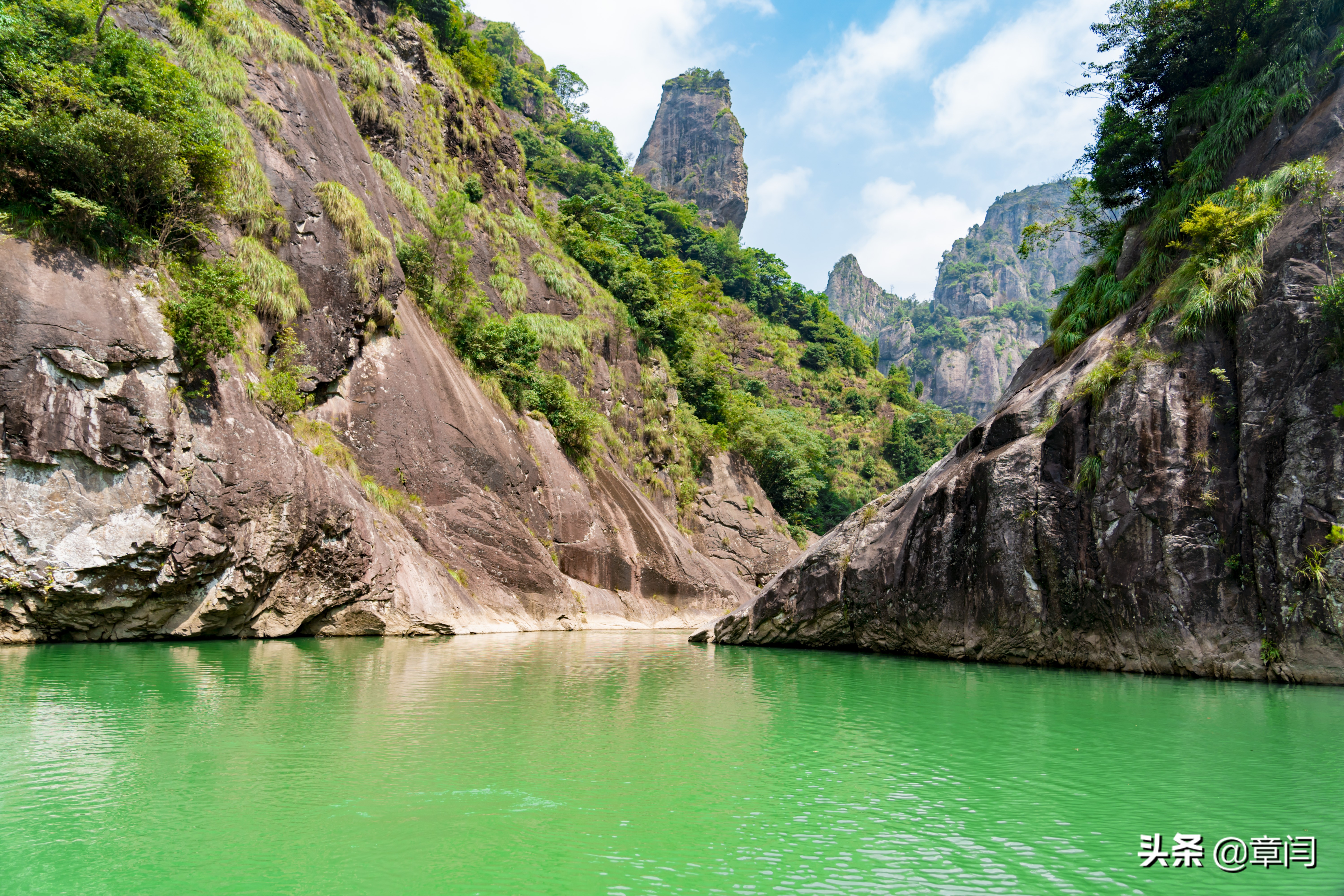 真香！1447万沪籍人福音！难以拒绝的2019温州惠游政策重磅发布