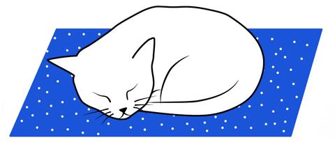 猫为什么会打呼噜？而且人类听了还特别爽？抖m吗？