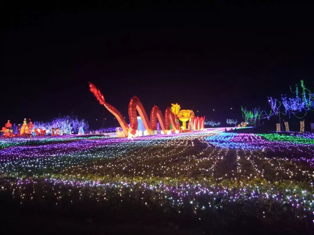 深圳海洋世界旅游攻略,深圳海洋王国有哪些景点