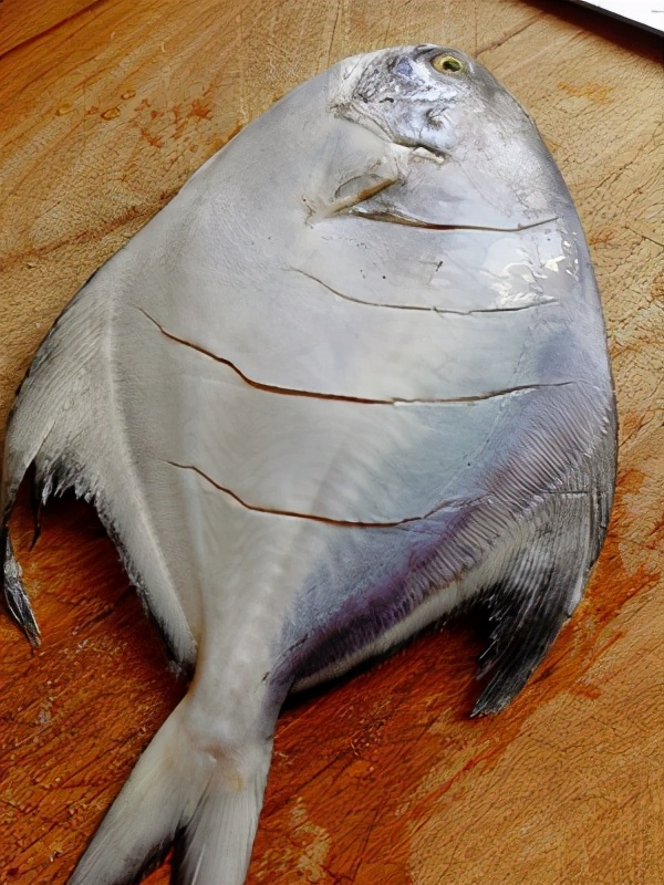 清蒸鲳鱼正宗做法,清蒸鲳鱼的正确做法步骤