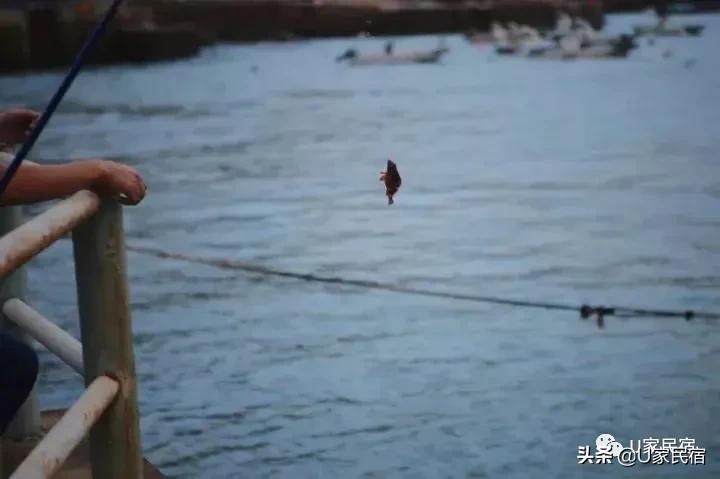 绝美落日、满天星河，向往的乌托邦就在东极岛临海而居的民宿里