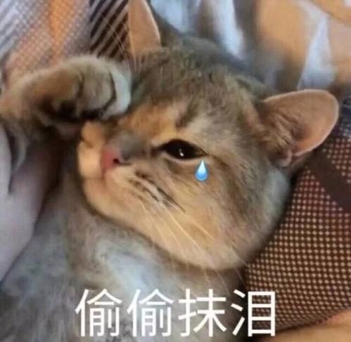 25岁怎么把皮肤养好,30岁怎么把皮肤养好养细腻