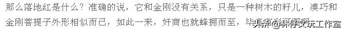 尼泊尔大金刚与落地红的简单区别,印尼大金刚就是落地红吗