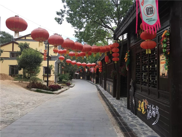 筑巢引凤，杜堂村四季花海连城乡