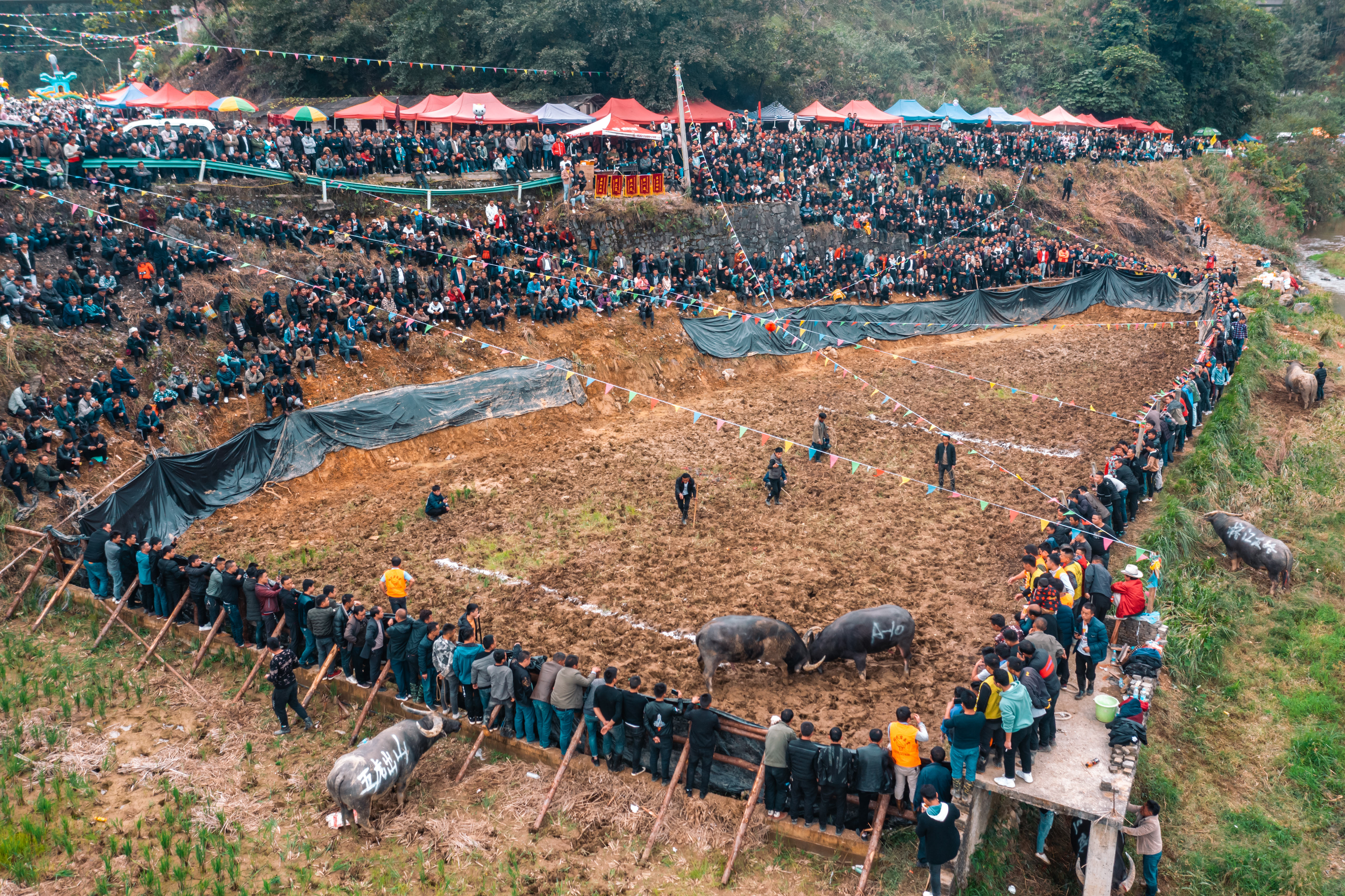 贵州人少景美的小村寨,贵州特色寨子
