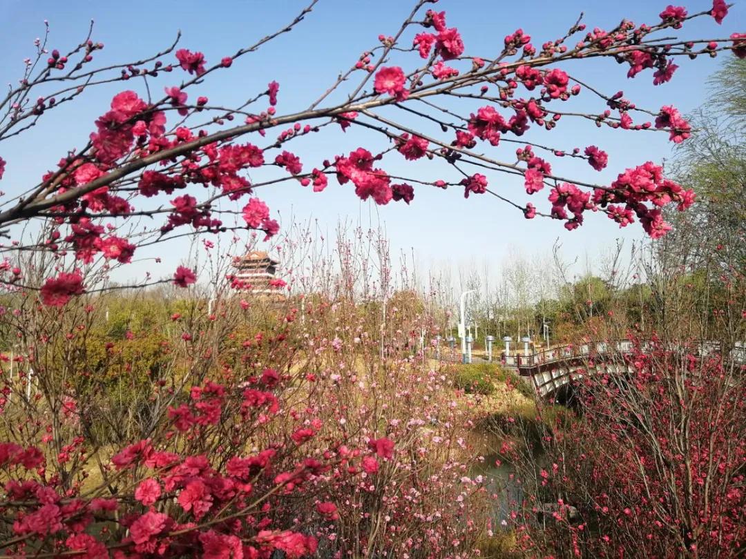 郑州暂停开放全市旅游景区,郑州正在建设的旅游景区