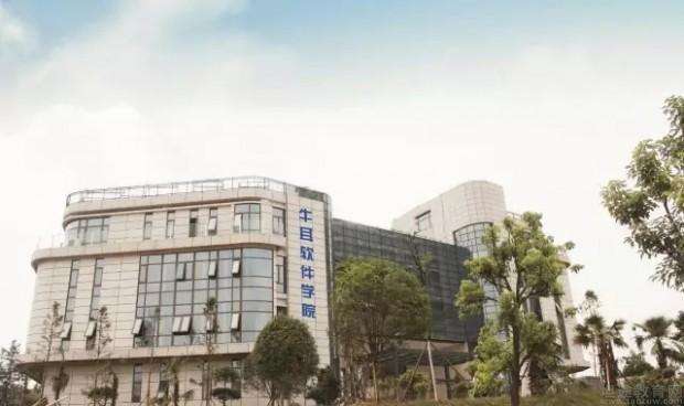 长沙牛耳软件学院教什么,牛耳软件学院有什么要求吗