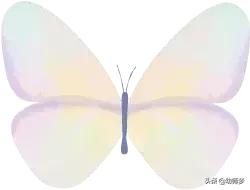 幼儿园大班小游戏简单有趣,好玩的幼儿园大班角色游戏