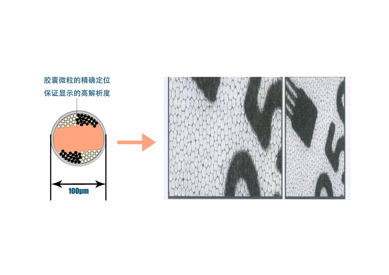 科普知识互联网的历史,科普电子科技知识视频