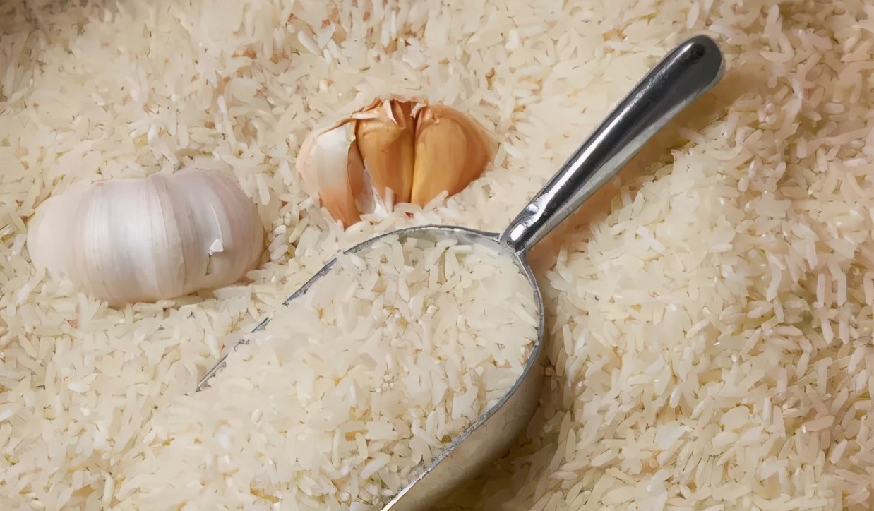 大米生虫子了长飞蛾了怎么办,大米有飞蛾虫怎么办