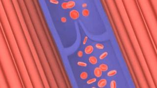 杜昕医生,杜昕安贞医院