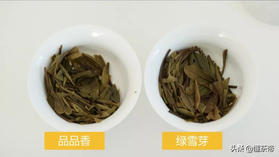 品品香和绿雪芽的老白茶哪个好,白茶测评