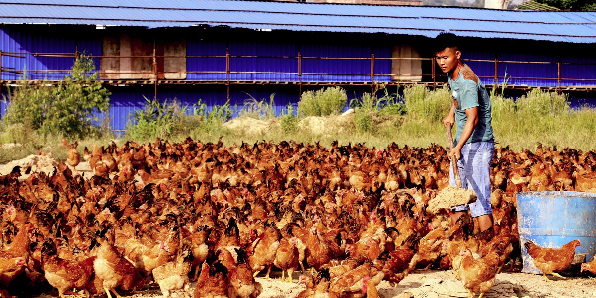 普通人致富最好的方式是什么,年轻人说勤劳致富是真的吗