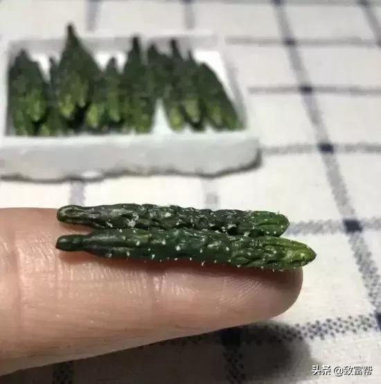 90后母亲被骗,90后妈妈因造假走红