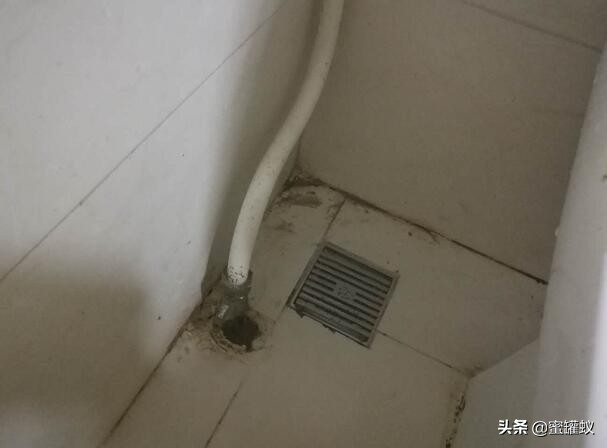 马桶的排气孔散发臭味怎么办,天一热马桶就散发臭味