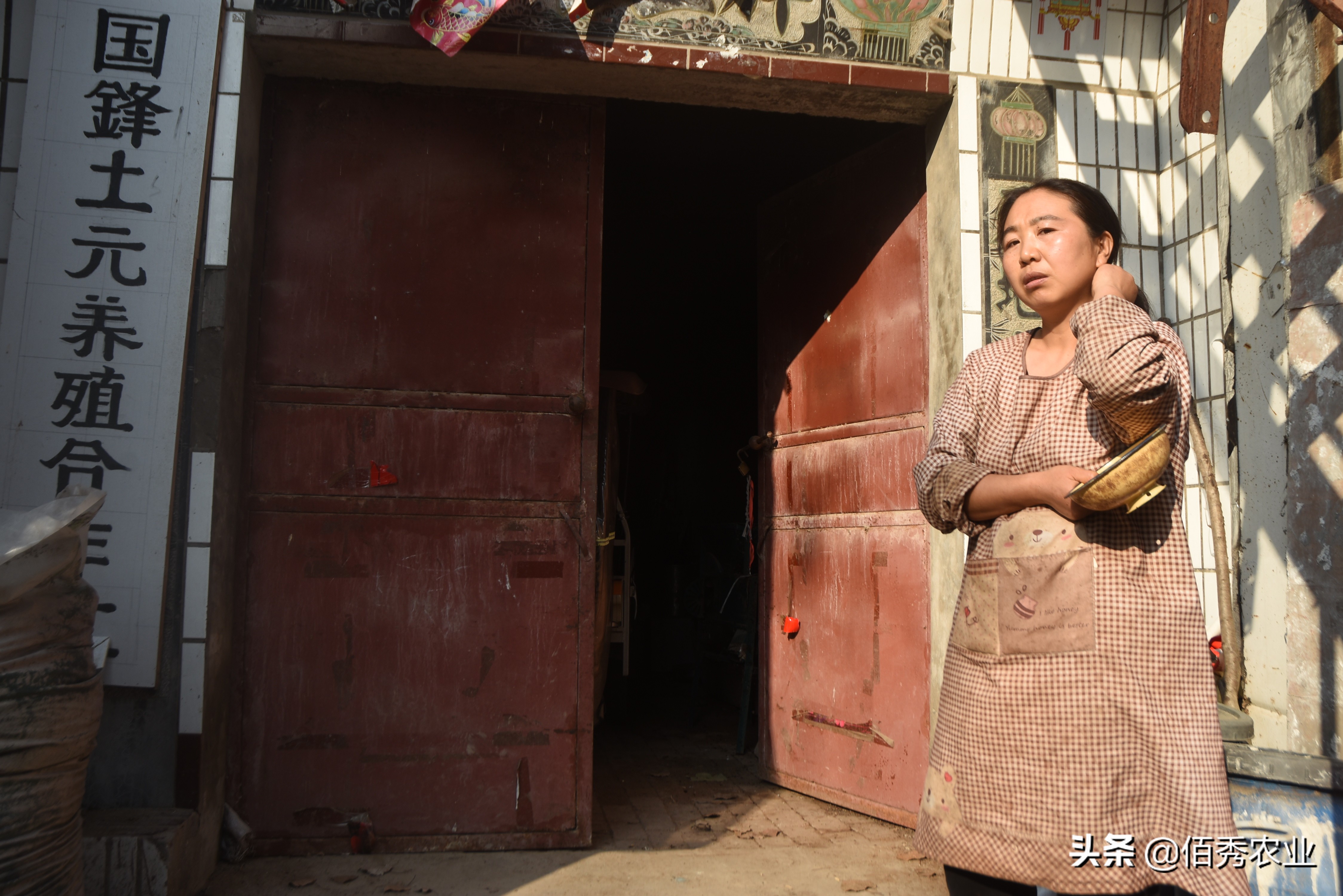 农村中年妇女能干什么赚钱,农村中老年妇女在家干什么能挣钱