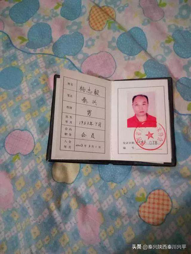 《赞竹》,散文秦兴/文